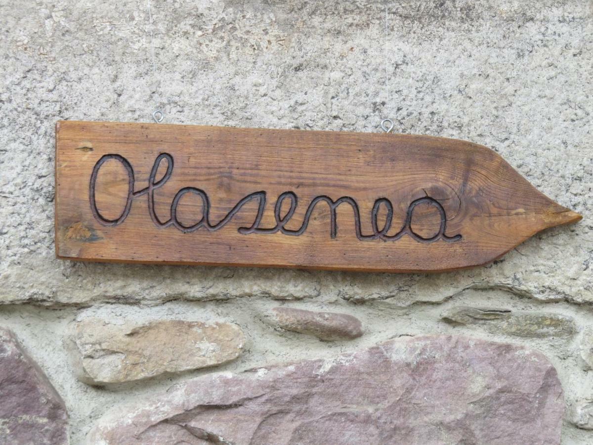 Albergue Olasenea Aterpea Zubieta Екстер'єр фото